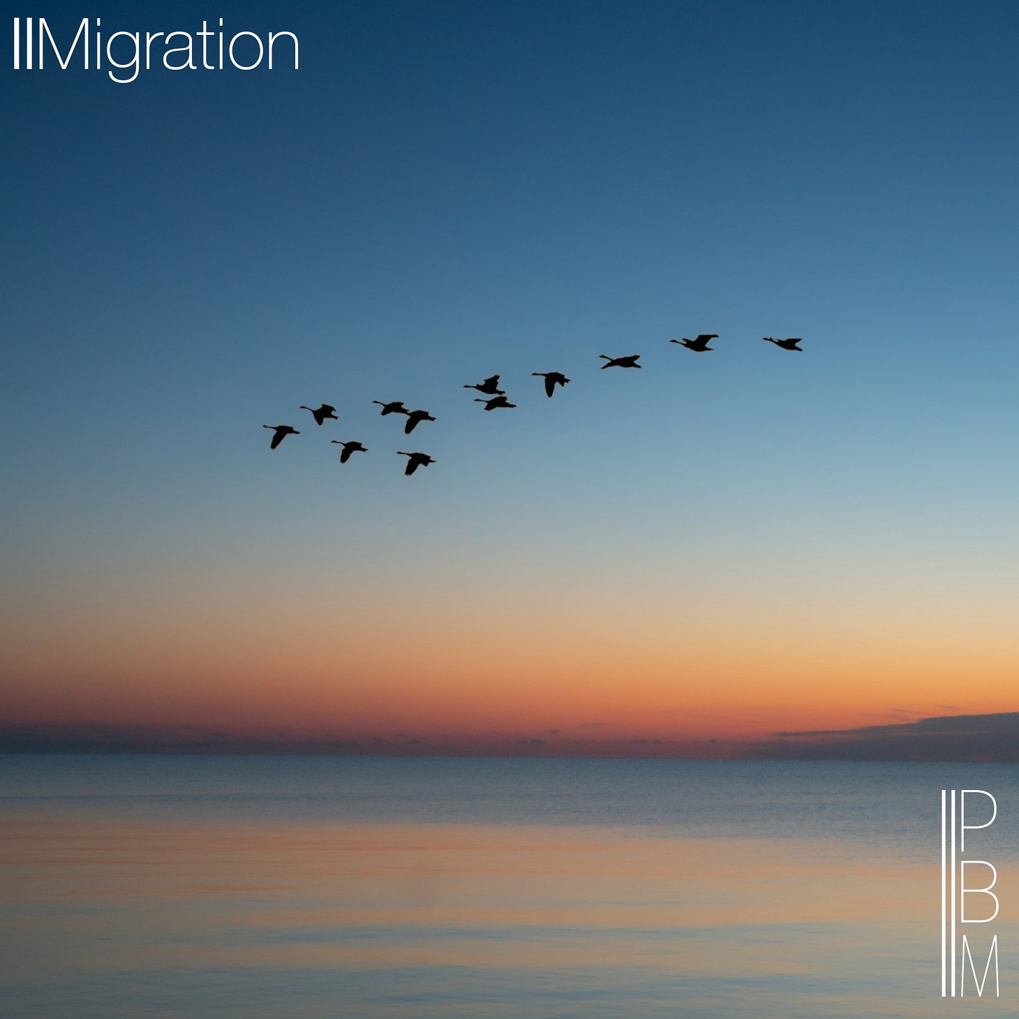 Migration