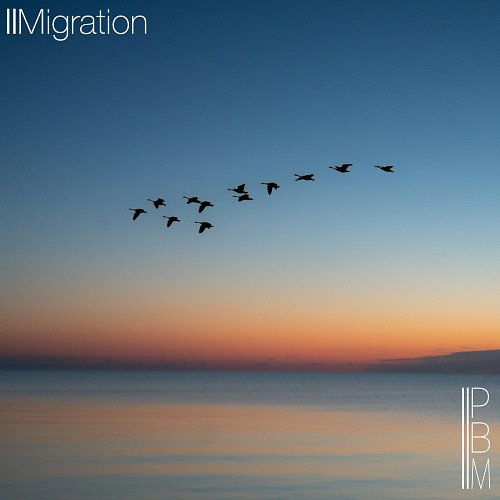 Migration