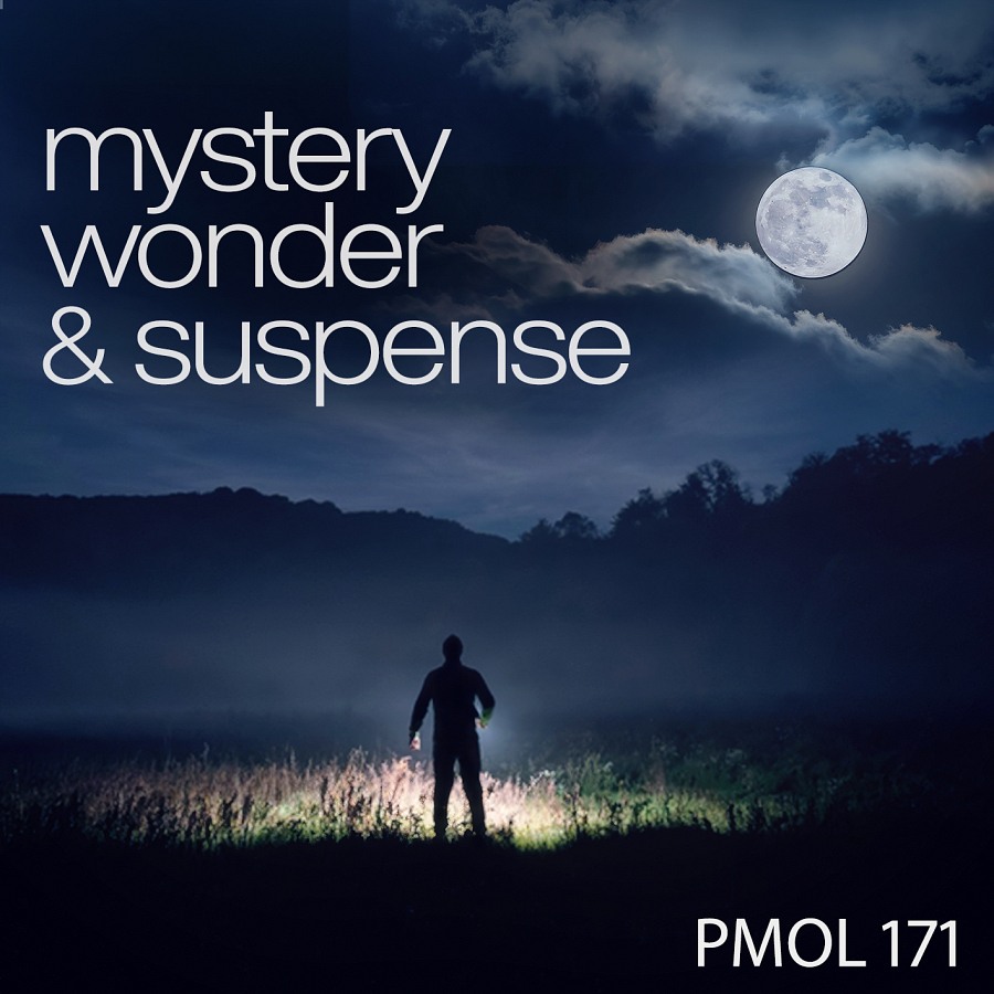 Mystery, Wonder And Suspense