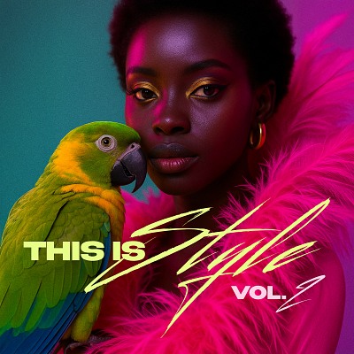 SC345 This Is Style Vol. 2