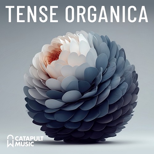 Tense Organica