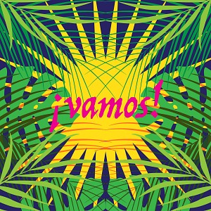 VAMOS