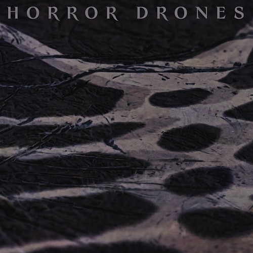 HORROR DRONES