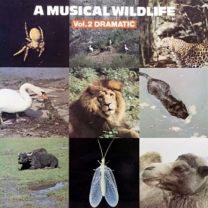 A MUSICAL WILDLIFE Vol. 2 Dramatic