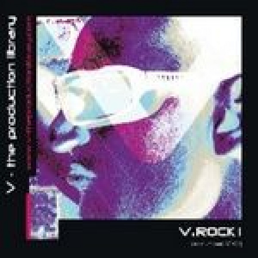 V.Rock 1