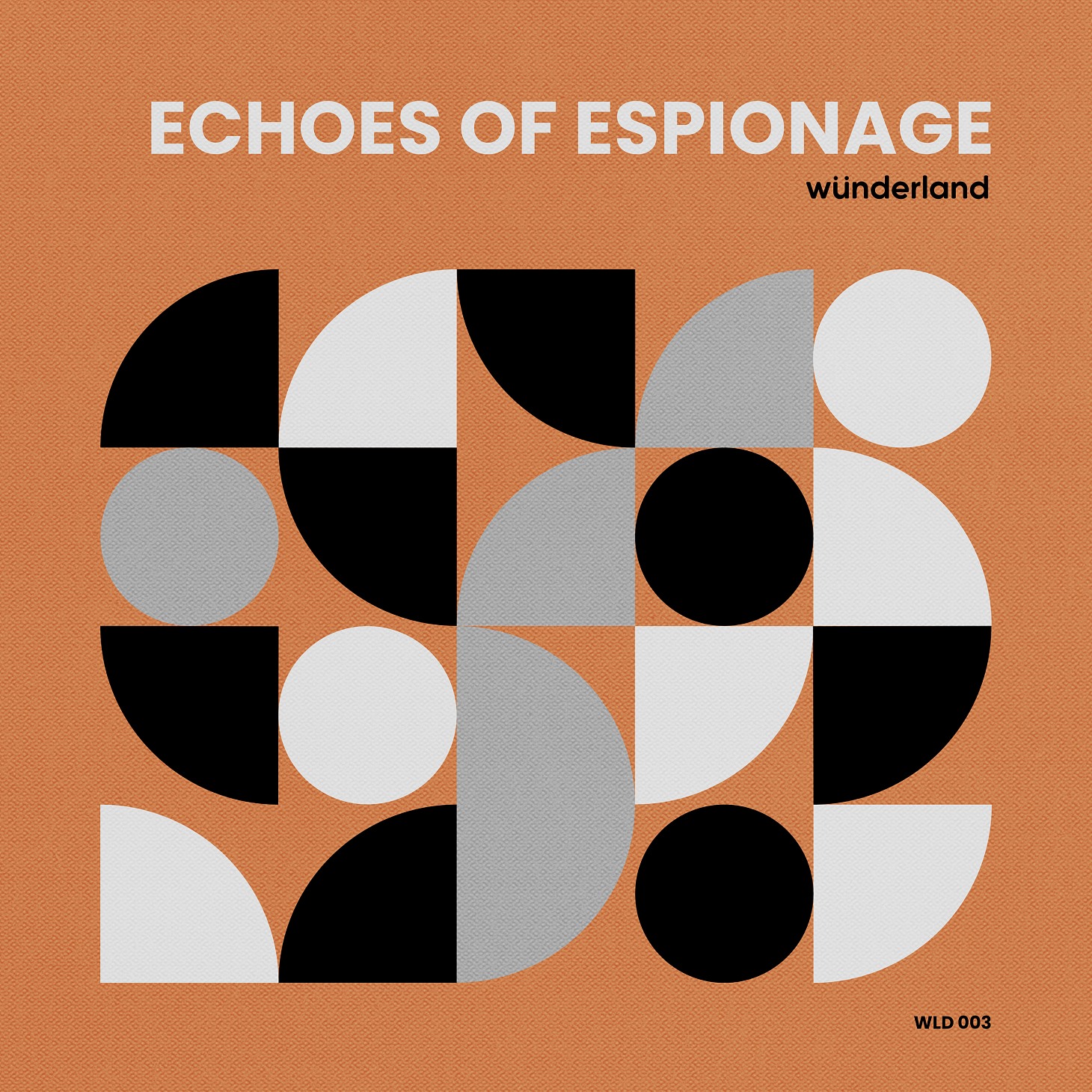 Echoes of Espionage