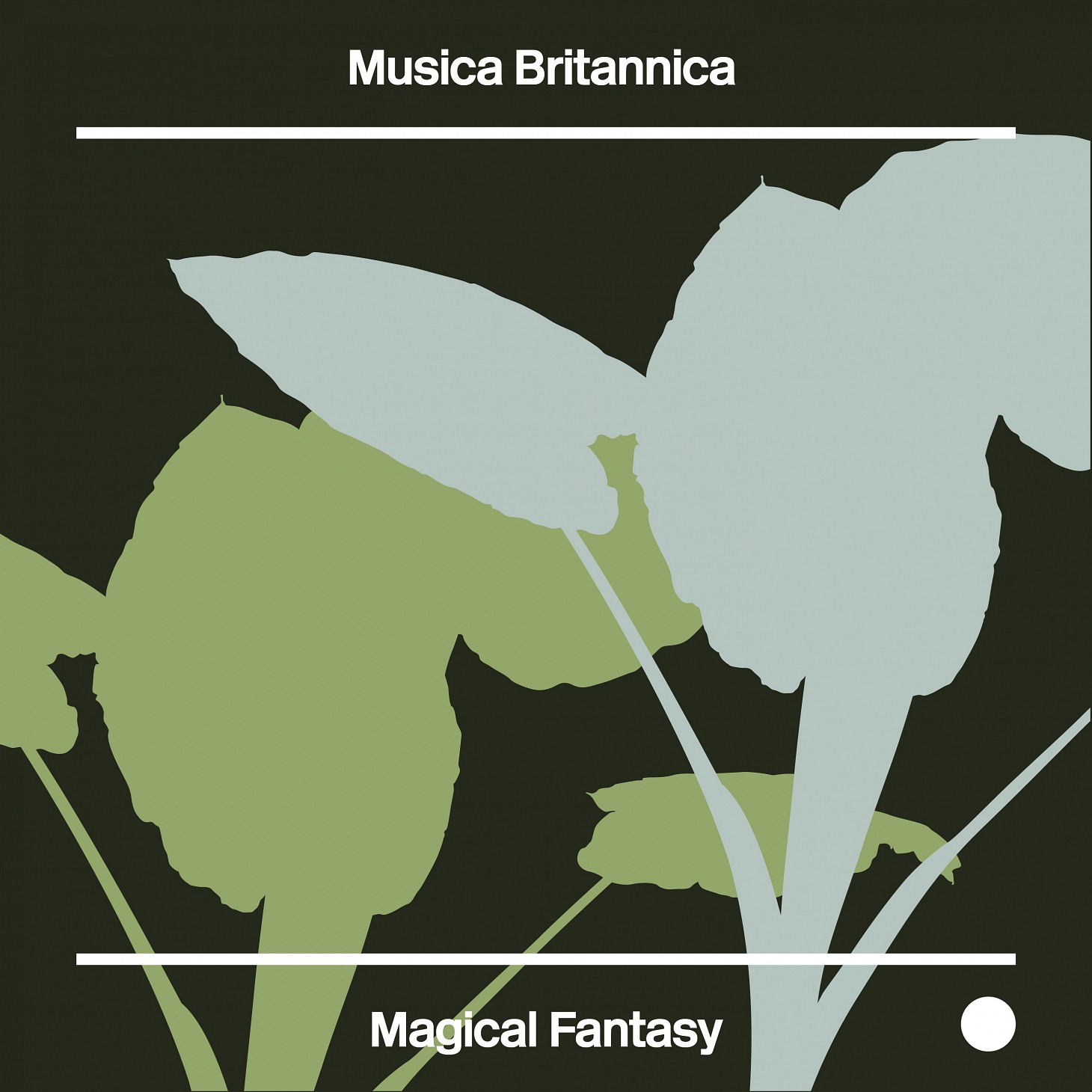 Magical Fantasy