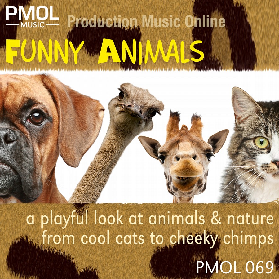 Funny Animals
