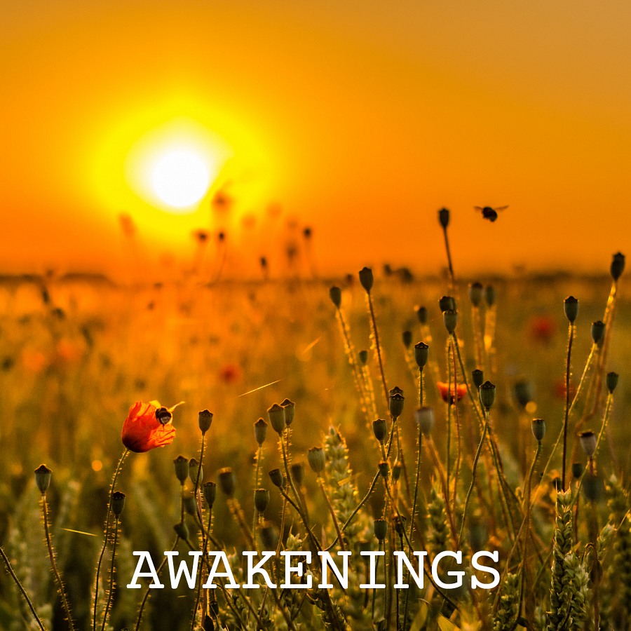 Awakenings