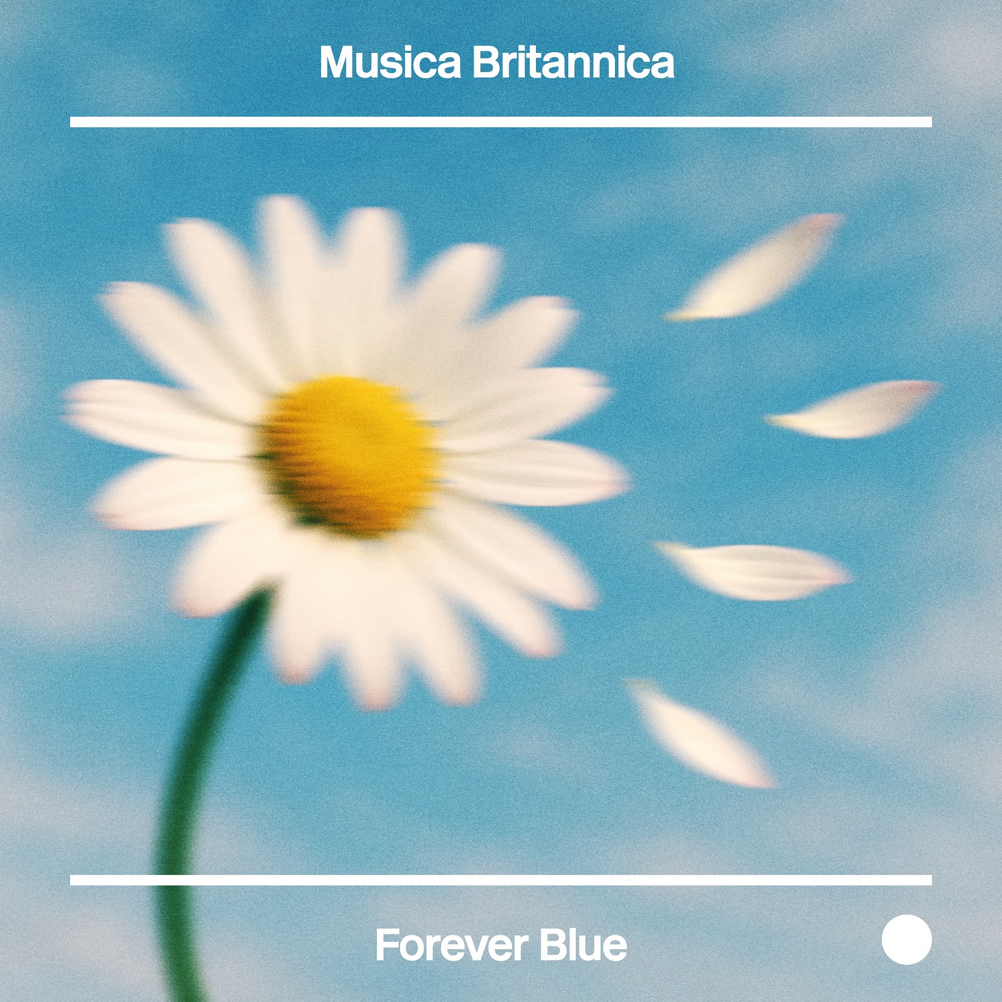 Forever Blue