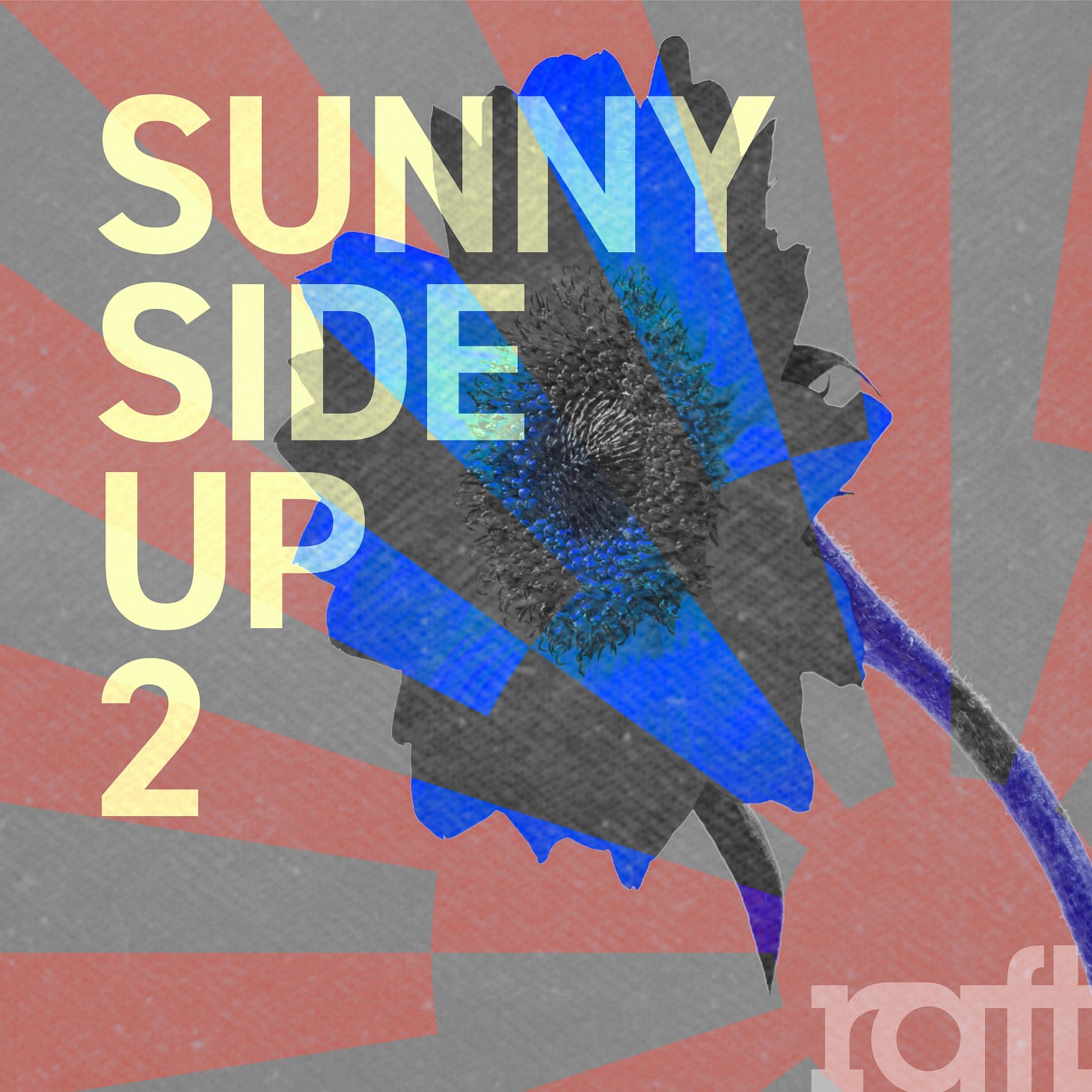 Sunny Side Up 2