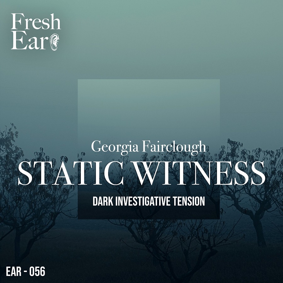 Static Witness