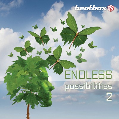 BBX308 Endless Possibilities 2