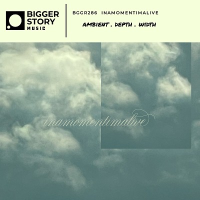 BGGR286 inamomentimalive