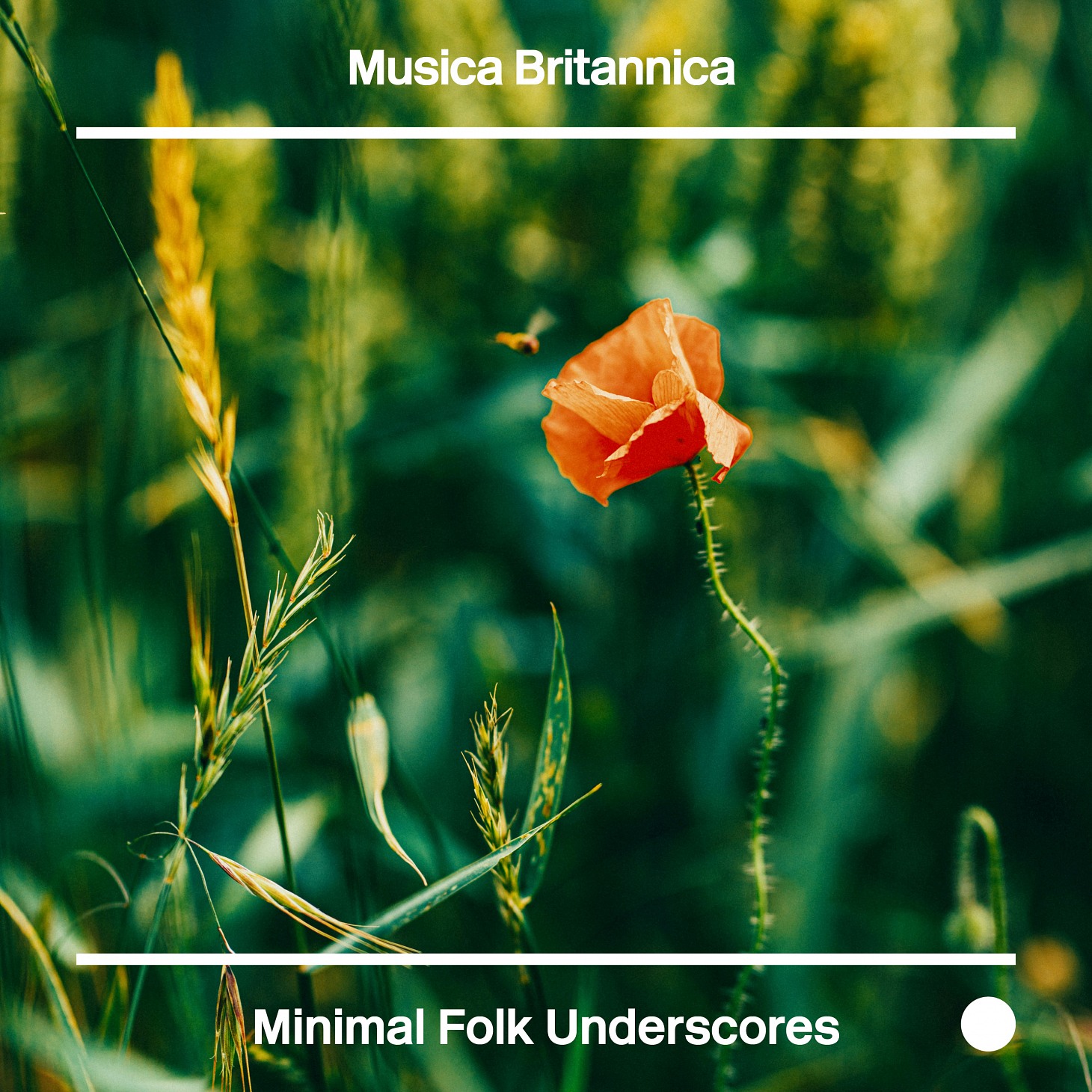 Minimal Folk Underscores