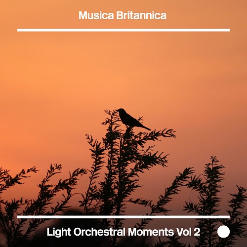 Light Orchestral Moments Vol. 2