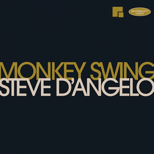 Steve D'Angelo - Monkey Swing