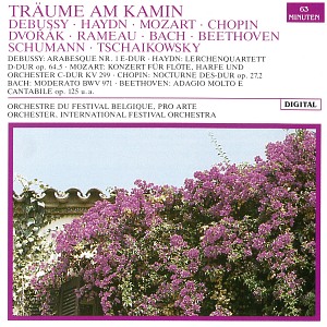 DREAMING BY THE FIRESIDE