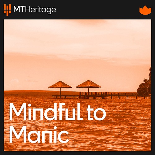 Mindful to Manic