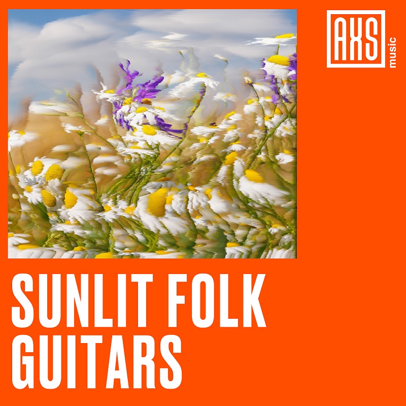 Sunlit Folk Guitars