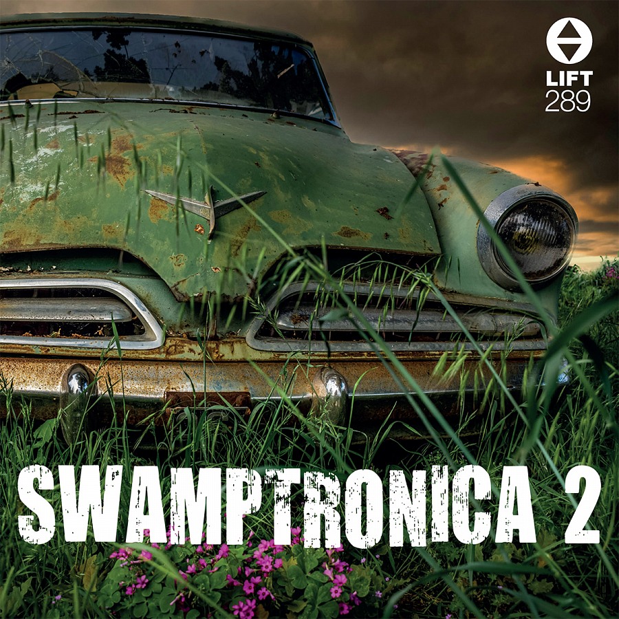 Swamptronica 2
