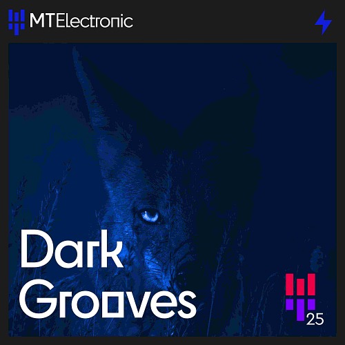 Dark Grooves
