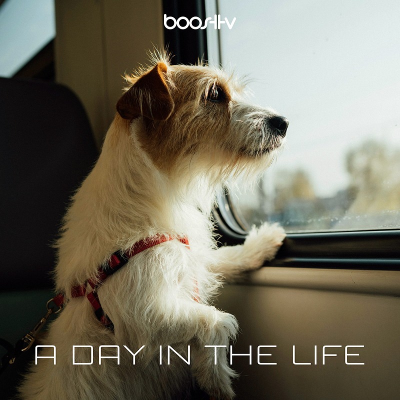 A Day In The Life