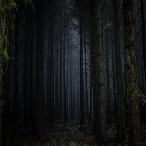 image alt text
