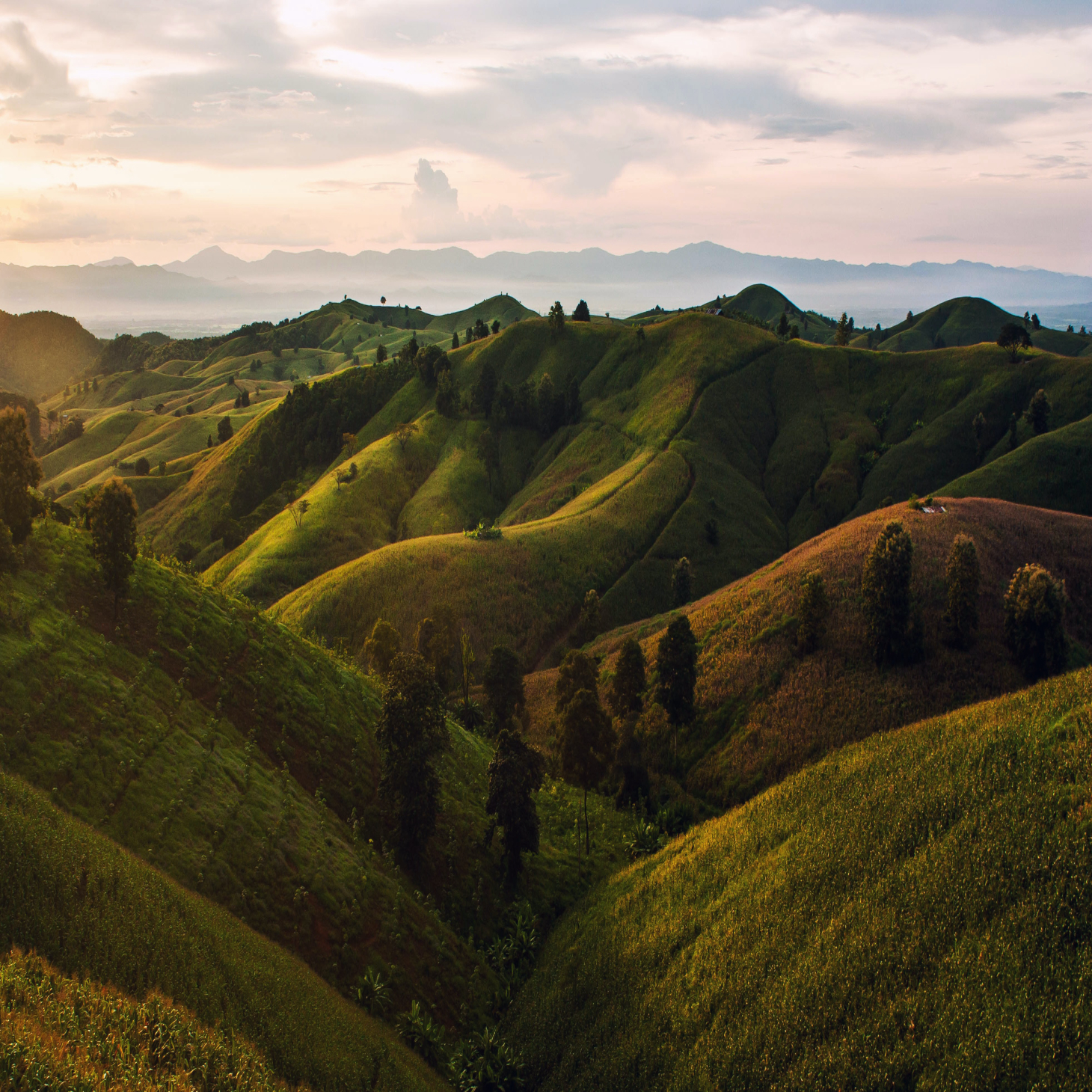 Nature & Countryside