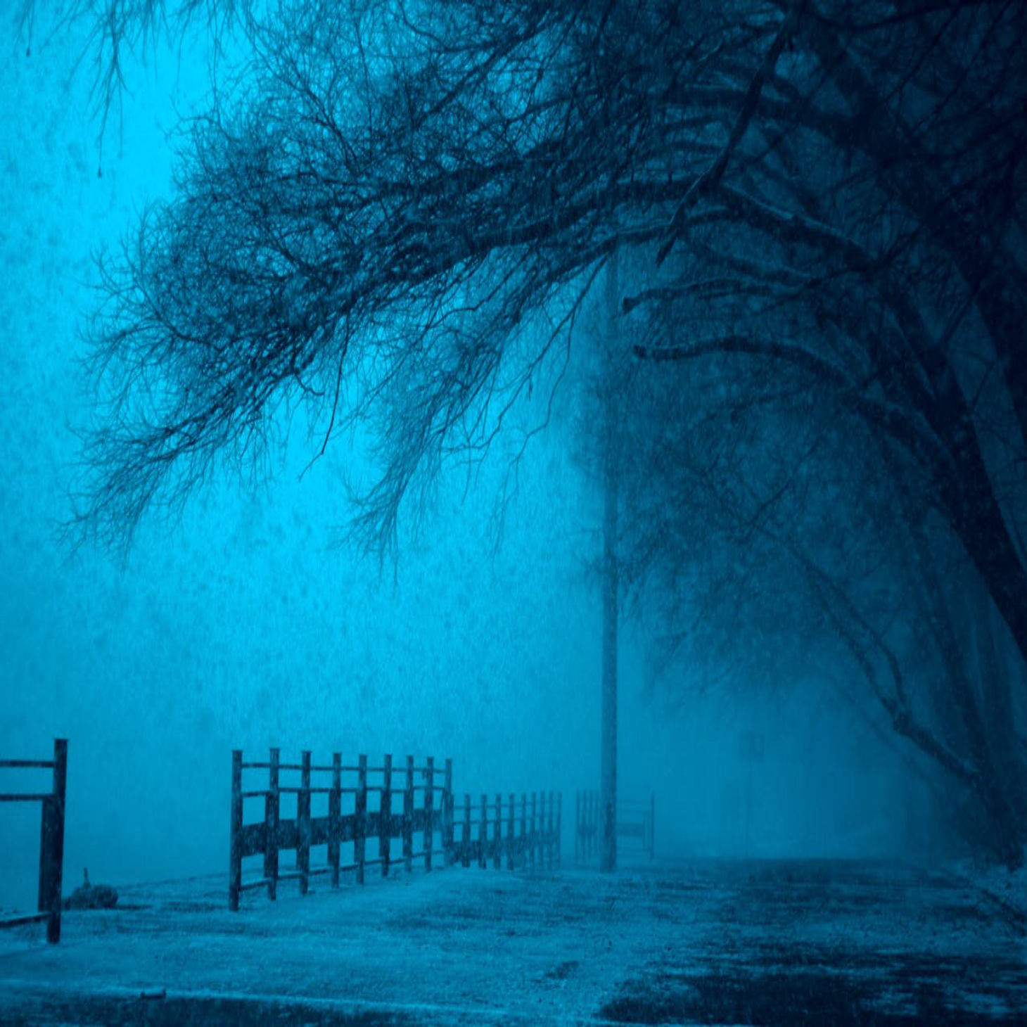 Anxious Mystery