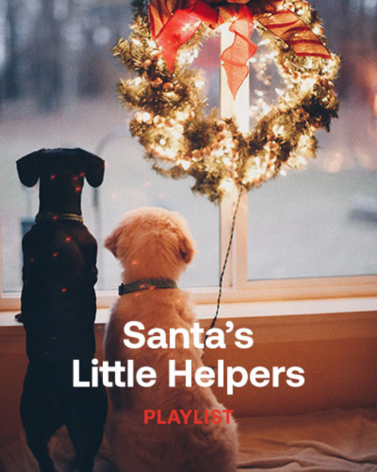 image alt text