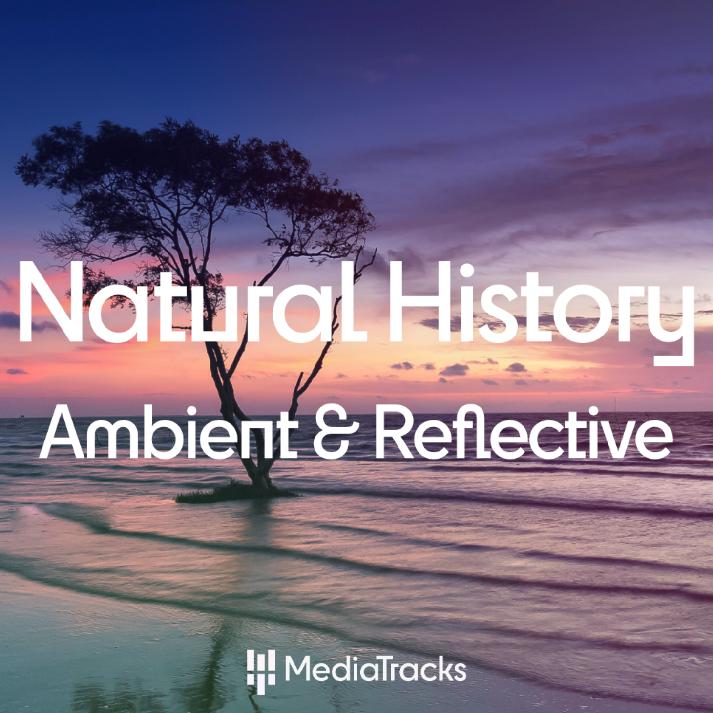 Natural History - Ambient & Reflective
