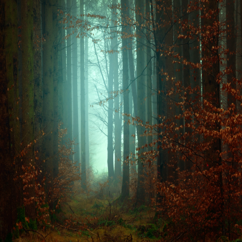 image alt text