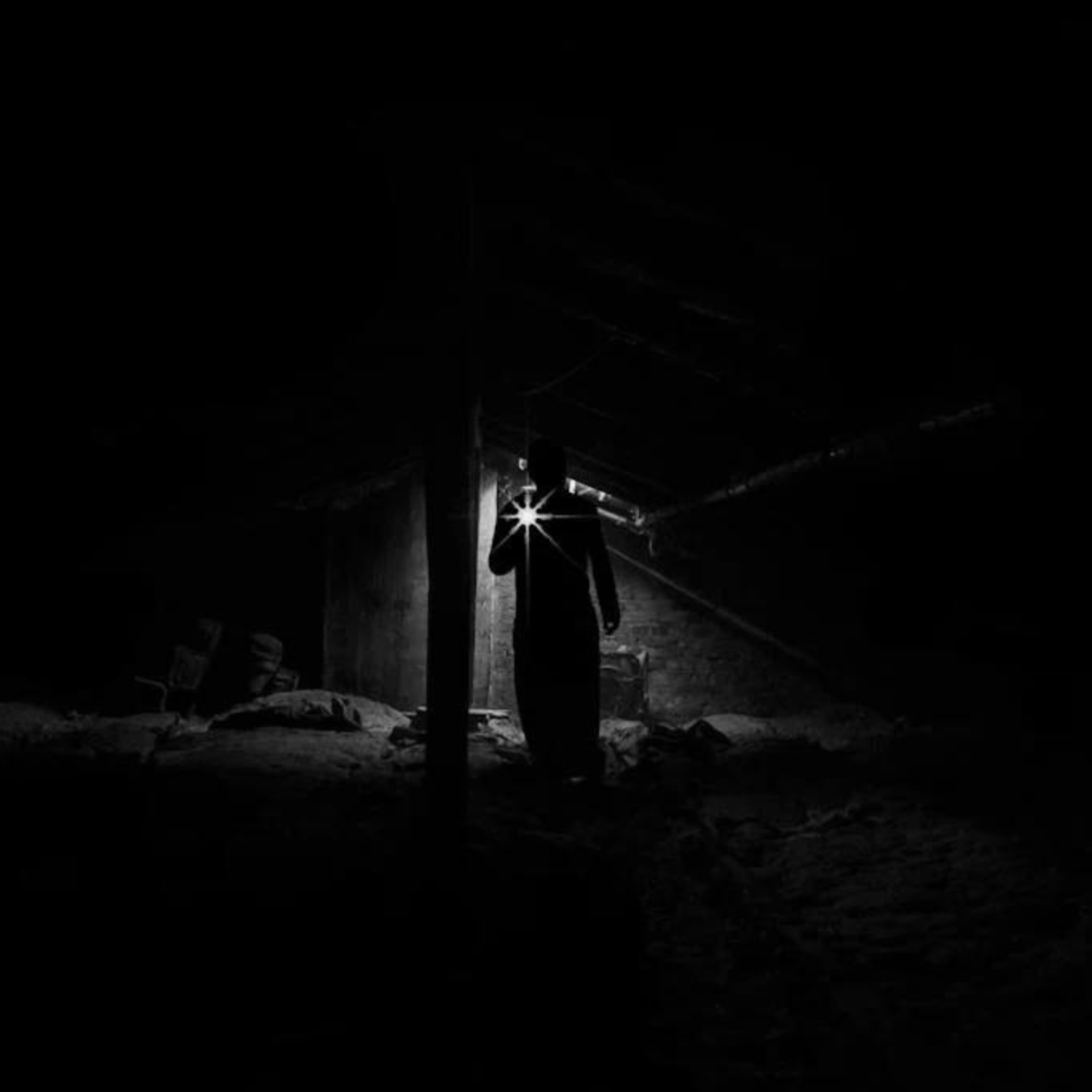 In The Shadows