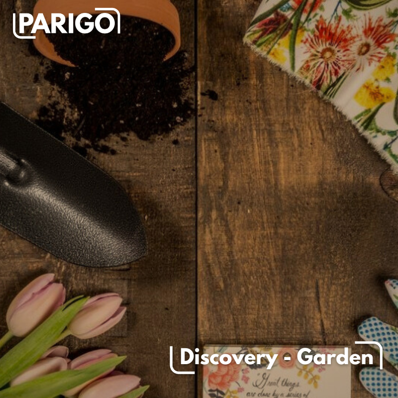 Discovery - Garden