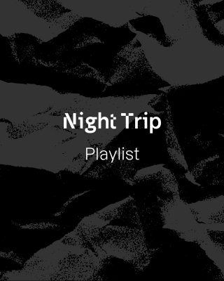 Night Trip