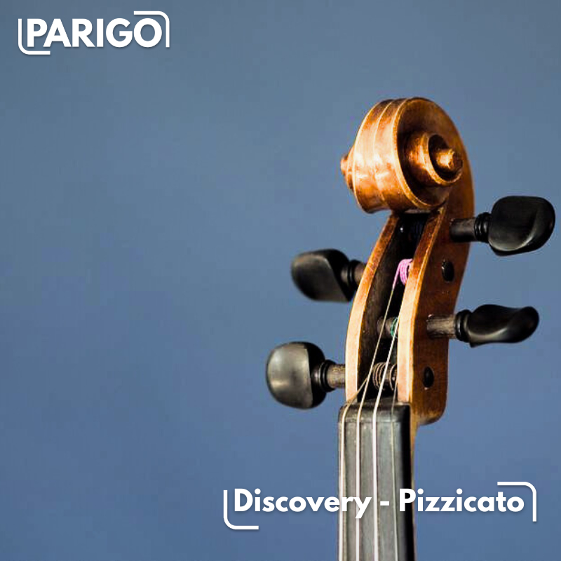 Discovery - Pizzicato