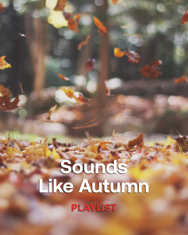 Sounds Like Autumn