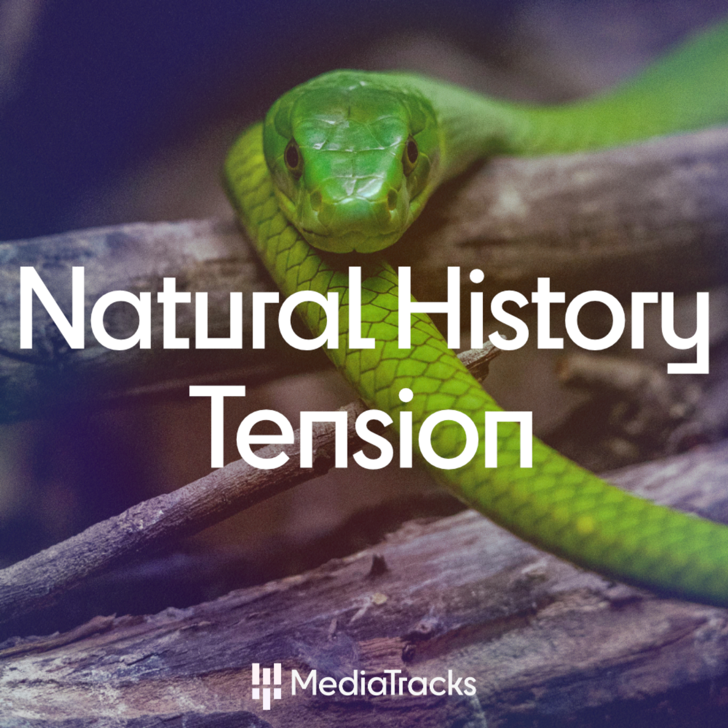 Natural History - Tension