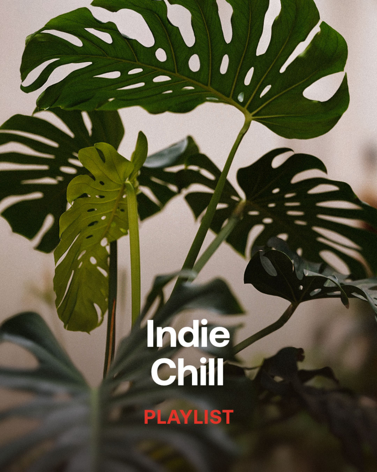 Indie Chill