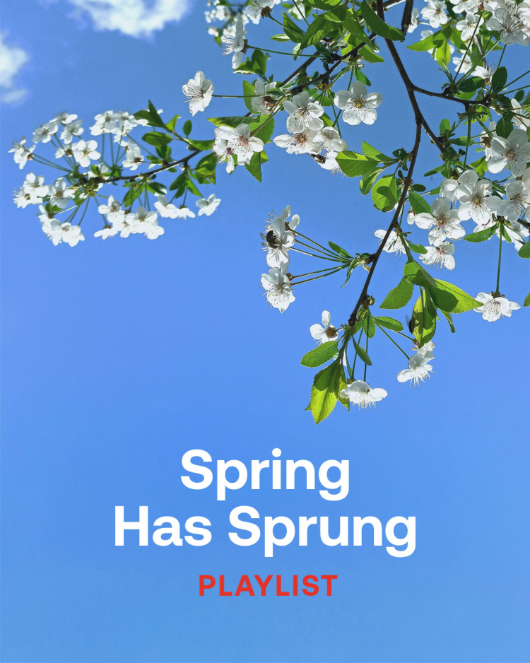 Spring Has Sprung