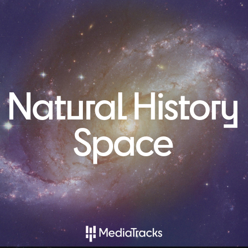 image alt text