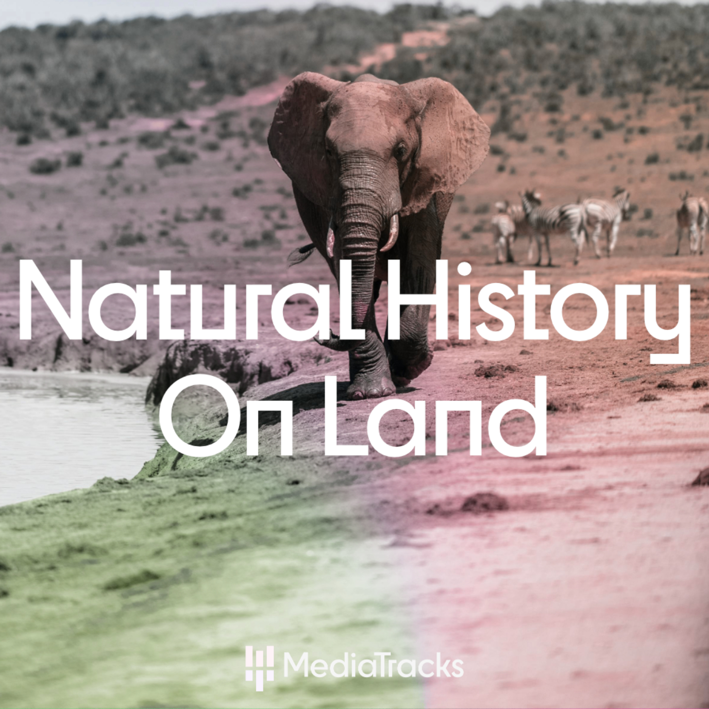 Natural History - On Land