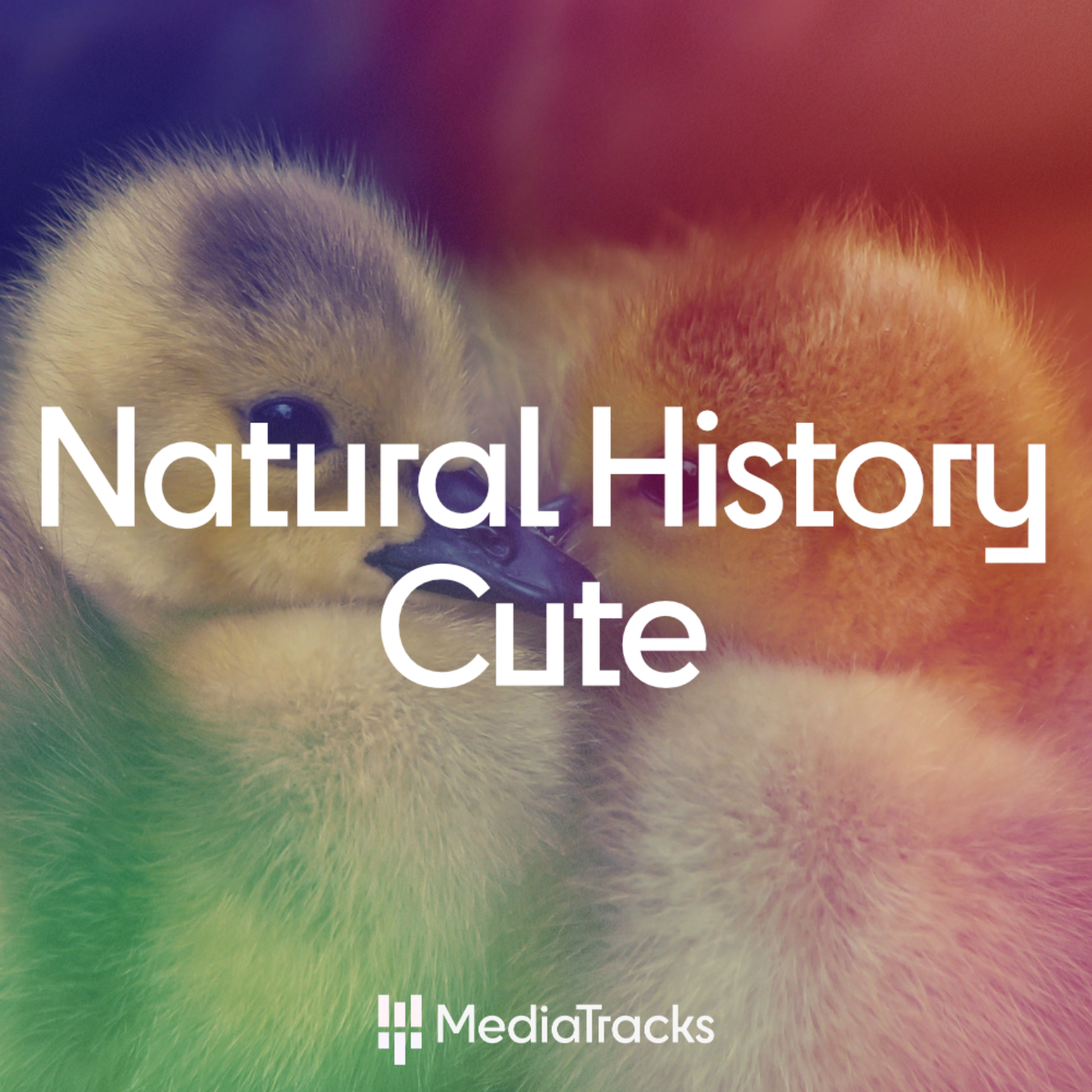 Natural History - Cute